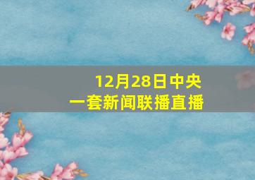 12月28日中央一套新闻联播直播