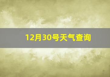 12月30号天气查询