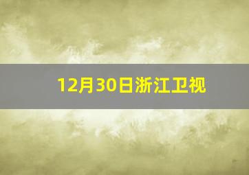 12月30日浙江卫视