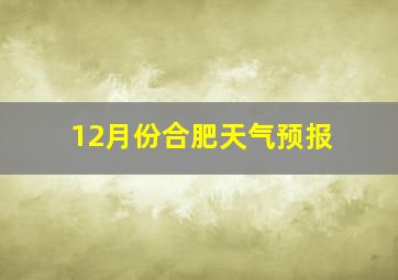 12月份合肥天气预报