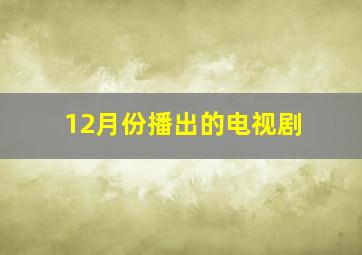 12月份播出的电视剧