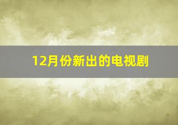 12月份新出的电视剧