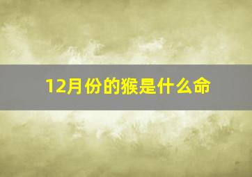 12月份的猴是什么命