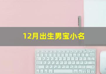 12月出生男宝小名