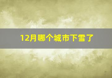 12月哪个城市下雪了