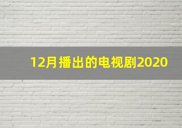 12月播出的电视剧2020