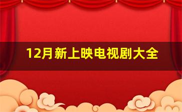 12月新上映电视剧大全