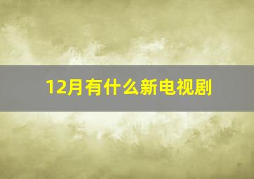 12月有什么新电视剧