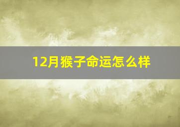 12月猴子命运怎么样