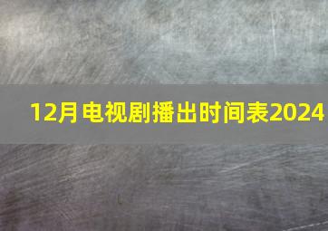 12月电视剧播出时间表2024