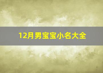 12月男宝宝小名大全