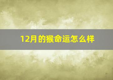 12月的猴命运怎么样