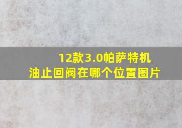 12款3.0帕萨特机油止回阀在哪个位置图片