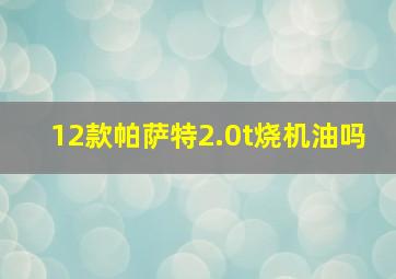 12款帕萨特2.0t烧机油吗