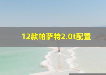 12款帕萨特2.0t配置