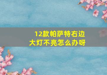 12款帕萨特右边大灯不亮怎么办呀