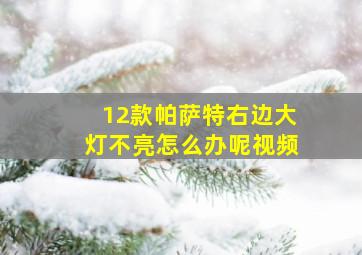 12款帕萨特右边大灯不亮怎么办呢视频