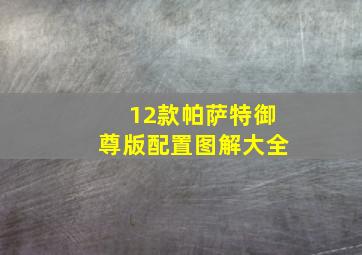 12款帕萨特御尊版配置图解大全