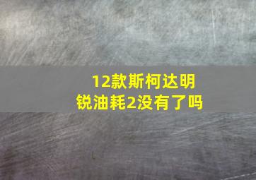 12款斯柯达明锐油耗2没有了吗