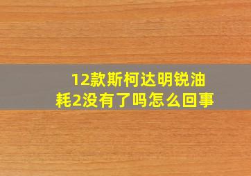 12款斯柯达明锐油耗2没有了吗怎么回事