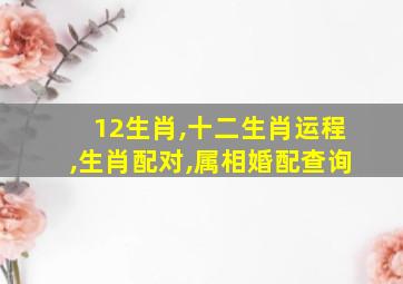 12生肖,十二生肖运程,生肖配对,属相婚配查询