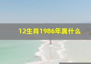 12生肖1986年属什么