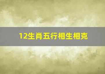 12生肖五行相生相克