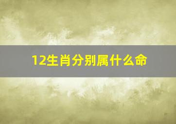 12生肖分别属什么命