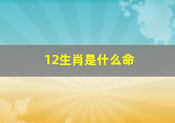 12生肖是什么命