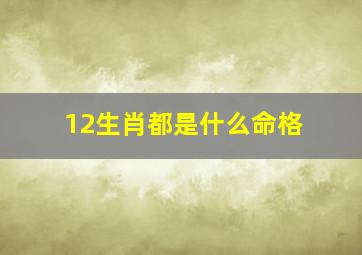 12生肖都是什么命格