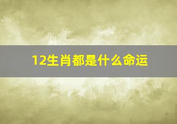 12生肖都是什么命运