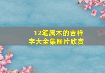 12笔属木的吉祥字大全集图片欣赏