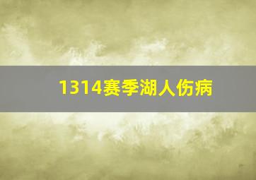 1314赛季湖人伤病