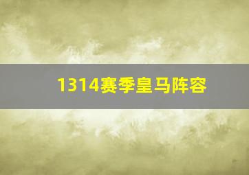 1314赛季皇马阵容