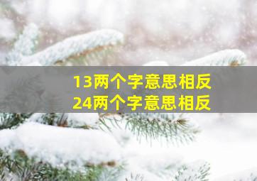 13两个字意思相反24两个字意思相反