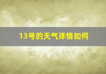 13号的天气详情如何