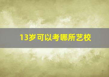 13岁可以考哪所艺校