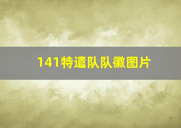 141特遣队队徽图片