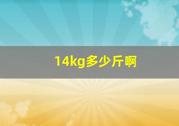 14kg多少斤啊