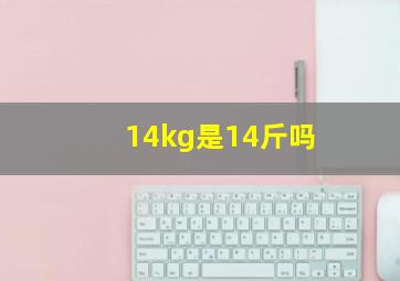 14kg是14斤吗