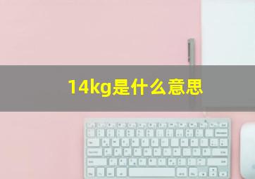 14kg是什么意思