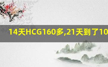 14天HCG160多,21天到了10000多