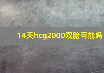 14天hcg2000双胎可能吗