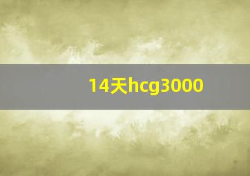 14天hcg3000