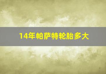 14年帕萨特轮胎多大