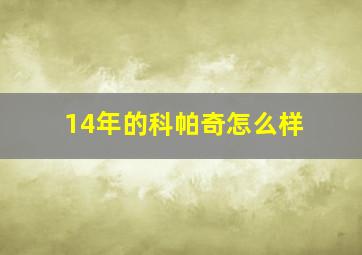 14年的科帕奇怎么样