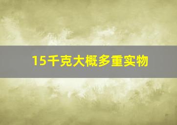 15千克大概多重实物