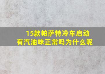 15款帕萨特冷车启动有汽油味正常吗为什么呢