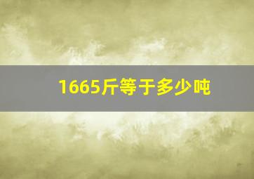 1665斤等于多少吨