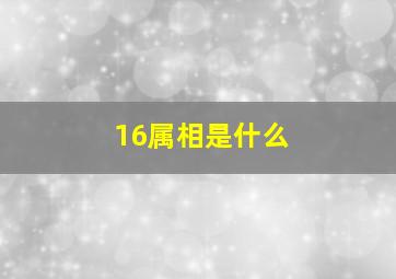 16属相是什么